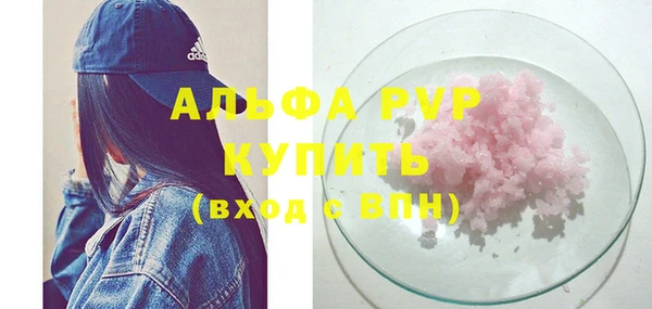 индика Арсеньев