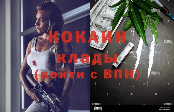 шишки Нязепетровск