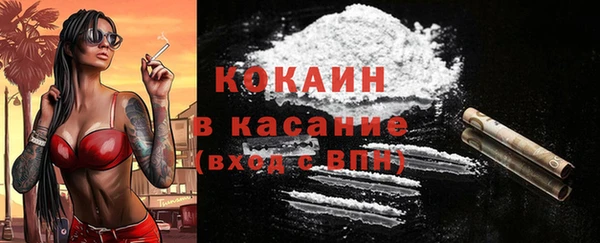 индика Арсеньев