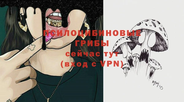 метамфетамин Аркадак