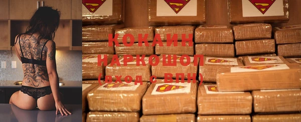 индика Арсеньев